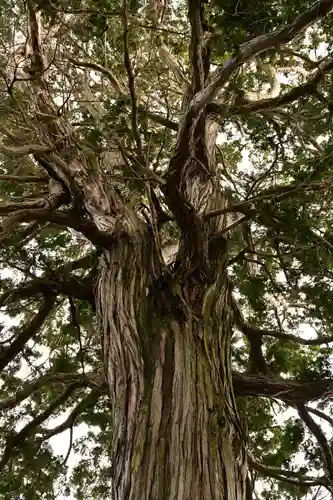 神門寺(島根県)