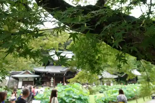 三室戸寺の景色