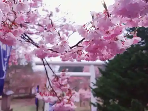 土津神社｜こどもと出世の神さまの自然