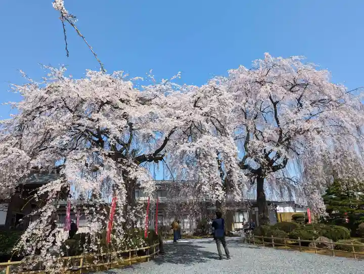 身照寺(岩手県)