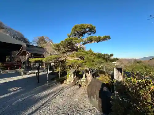 音楽寺(埼玉県)