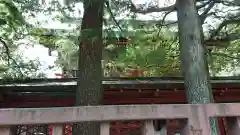 浅草神社の本殿