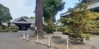 寛永寺(根本中堂)(東京都)
