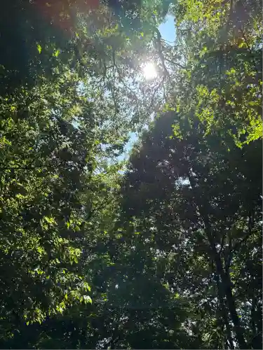 サムハラ神社 奥の宮(岡山県)