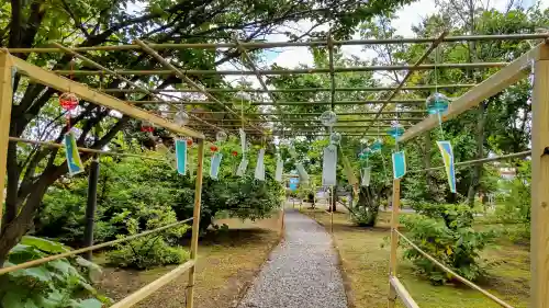 美瑛神社の体験その他