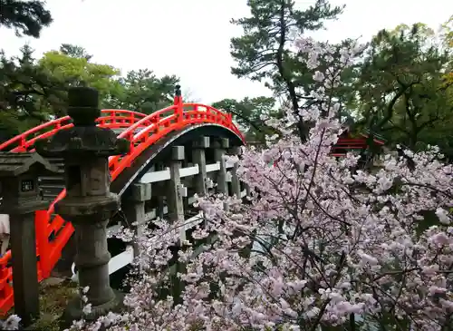 住吉大社(大阪府)