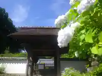 長壽寺(長寿寺)の山門・神門