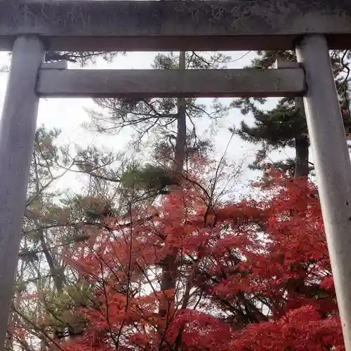 龍城神社の鳥居