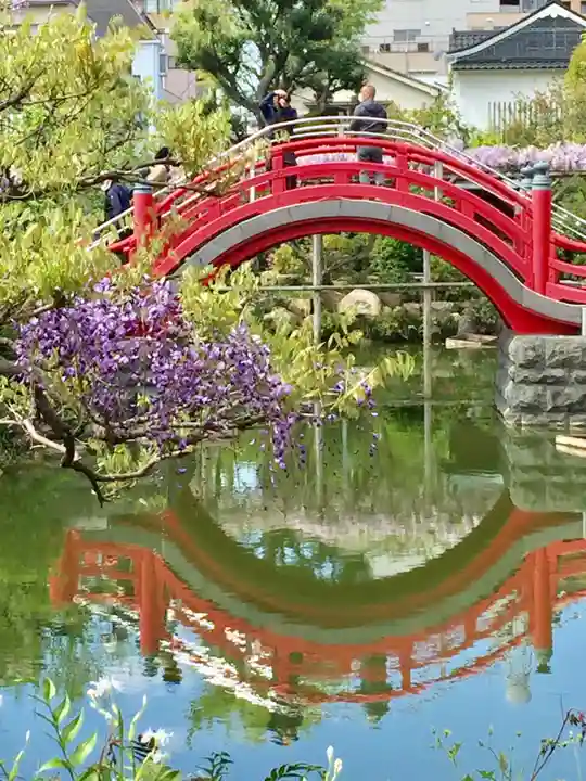 亀戸天神社の庭園