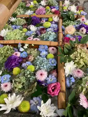 豊平神社の手水舎