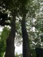 飯玉神社(群馬県)