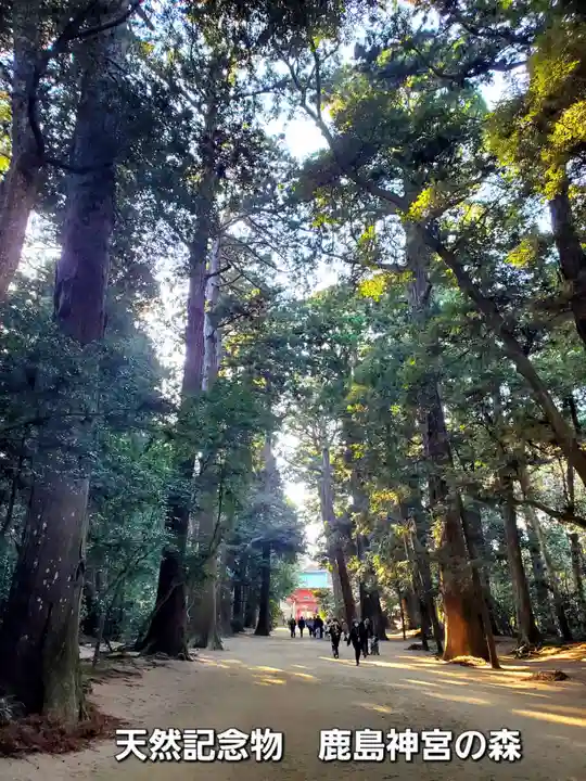 鹿島神宮(茨城県)