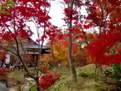 宝筐院(京都府)