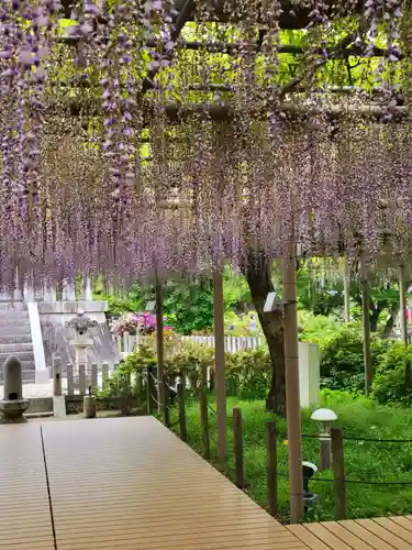 曼陀羅寺の庭園