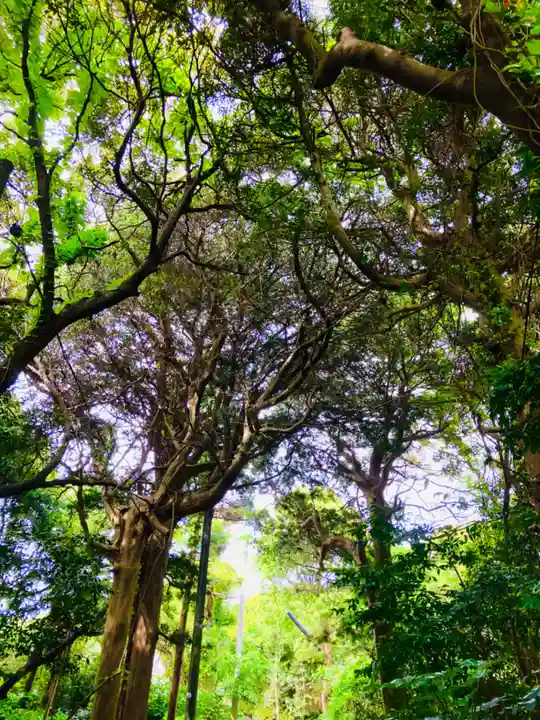 玉崎神社(千葉県)
