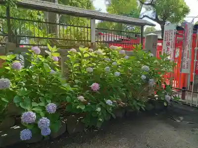 阿部野神社(大阪府)