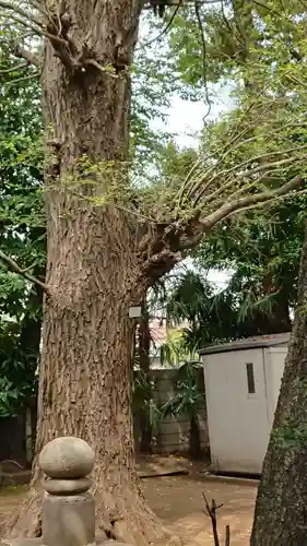 最勝寺教学院の自然