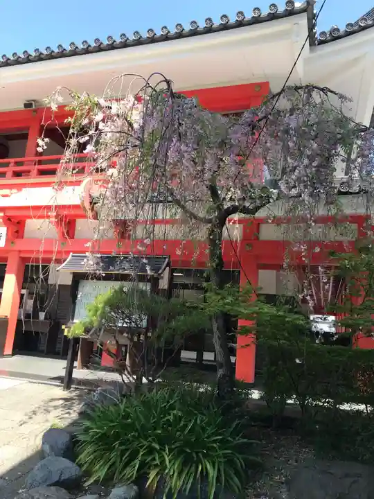 高幡不動尊 金剛寺(東京都)