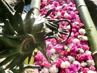 立志神社の手水舎