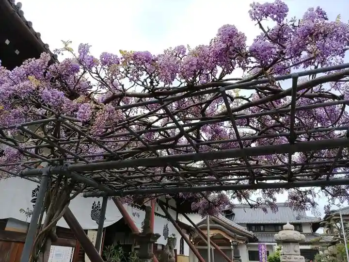 本覚寺(岐阜県)