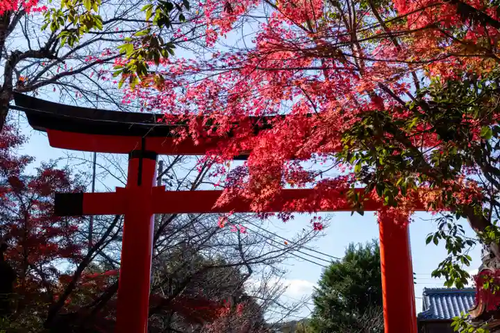 宇治上神社(京都府)