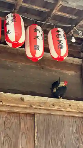 大崎八幡宮の{uncategorized: "未分類", other: "その他", undefined: "問題あり", building: "その他建物", grave: "お墓", sacred_gate: "鳥居", guardian: "狛犬", statue: "像", buddha: "仏像", history: "歴史", nature: "自然", garden: "庭園", animal: "動物", pagoda: "塔", temizu: "手水舎", mountain_gate: "山門・神門", sanctuary: "本殿・本堂", subordinate: "末社・摂社", art: "芸術", scenery: "景色", jizo: "地蔵", ema: "絵馬", goshuin: "御朱印", omikuji: "おみくじ", items: "授与品その他", amulet: "お守り", goshuincho: "御朱印帳", eats: "食事", festival: "お祭り", votive_dance: "神楽", shichigosan: "七五三参", wedding: "結婚式", experience: "体験その他", initially: "初詣", around: "周辺", anti_infection: "感染症対策"}