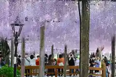 津島神社(愛知県)