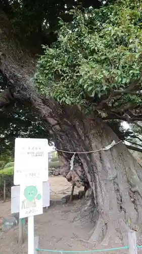 九重神社の自然