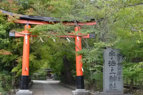 宇治上神社の鳥居