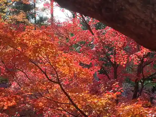 北野天満宮(京都府)