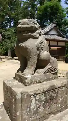 橘樹神社の狛犬