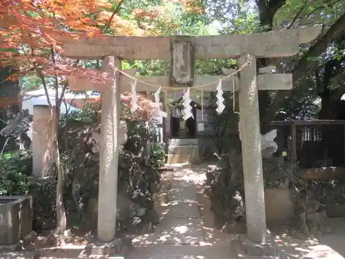 松戸神社の鳥居