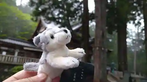 三峯神社(埼玉県)