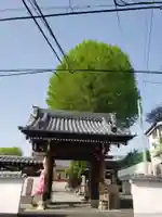 禅定院の山門・神門