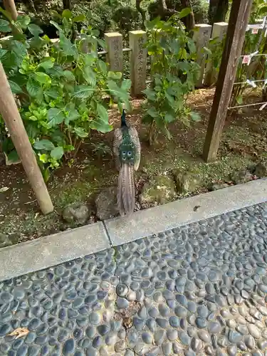 楽法寺（雨引観音）の動物