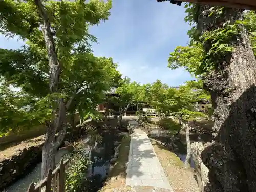 新薬師寺の{uncategorized: "未分類", other: "その他", undefined: "問題あり", building: "その他建物", grave: "お墓", sacred_gate: "鳥居", guardian: "狛犬", statue: "像", buddha: "仏像", history: "歴史", nature: "自然", garden: "庭園", animal: "動物", pagoda: "塔", temizu: "手水舎", mountain_gate: "山門・神門", sanctuary: "本殿・本堂", subordinate: "末社・摂社", art: "芸術", scenery: "景色", jizo: "地蔵", ema: "絵馬", goshuin: "御朱印", omikuji: "おみくじ", items: "授与品その他", amulet: "お守り", goshuincho: "御朱印帳", eats: "食事", festival: "お祭り", votive_dance: "神楽", shichigosan: "七五三参", wedding: "結婚式", experience: "体験その他", initially: "初詣", around: "周辺", anti_infection: "感染症対策"}