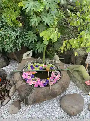東京羽田 穴守稲荷神社の手水舎
