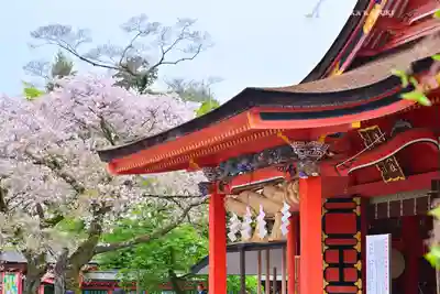 富士山本宮浅間大社(静岡県)