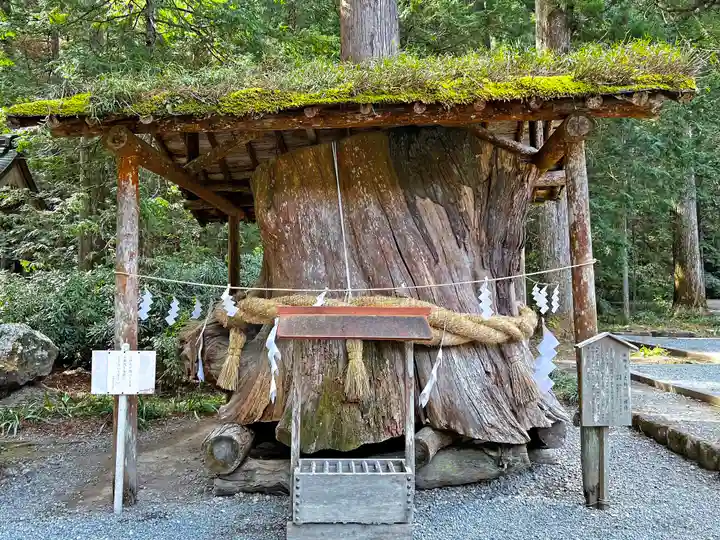小國神社の自然