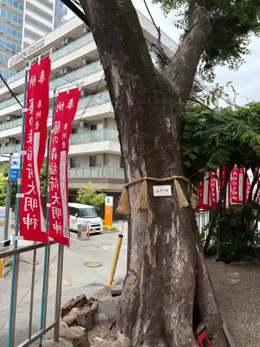 藤の森稲荷大神(兵庫県)