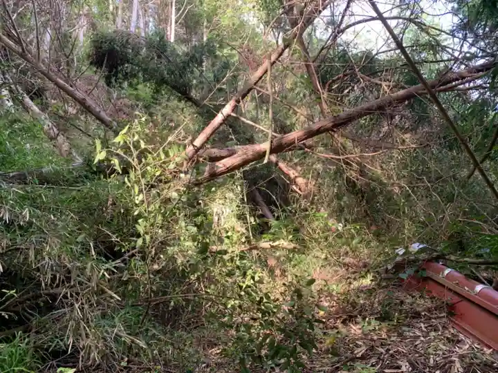 岩室観世音の周辺