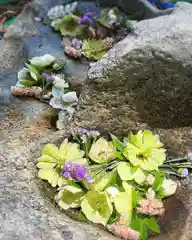 岡部春日神社～👹鬼門よけの🌺花咲く🌺やしろ～(福島県)