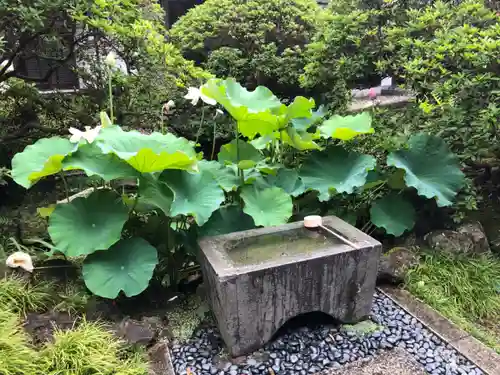 安養院　(田代寺）(神奈川県)