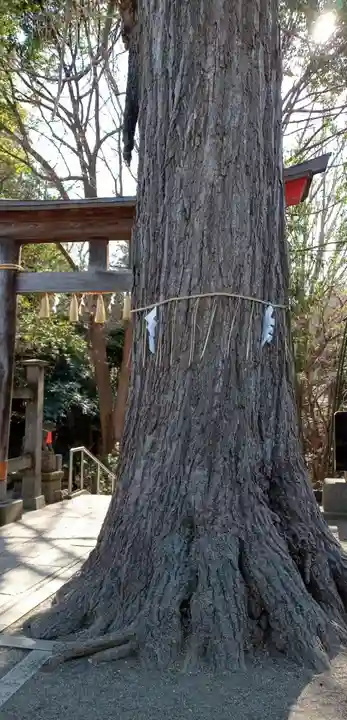 下総国三山 二宮神社(千葉県)
