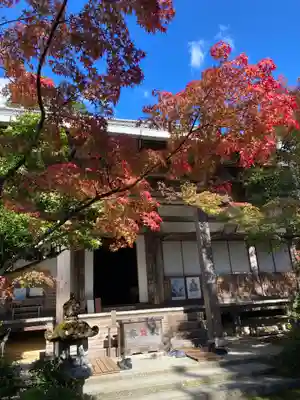 西明寺(京都府)