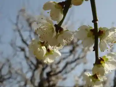 宝城坊(神奈川県)