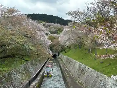 三尾神社(滋賀県)
