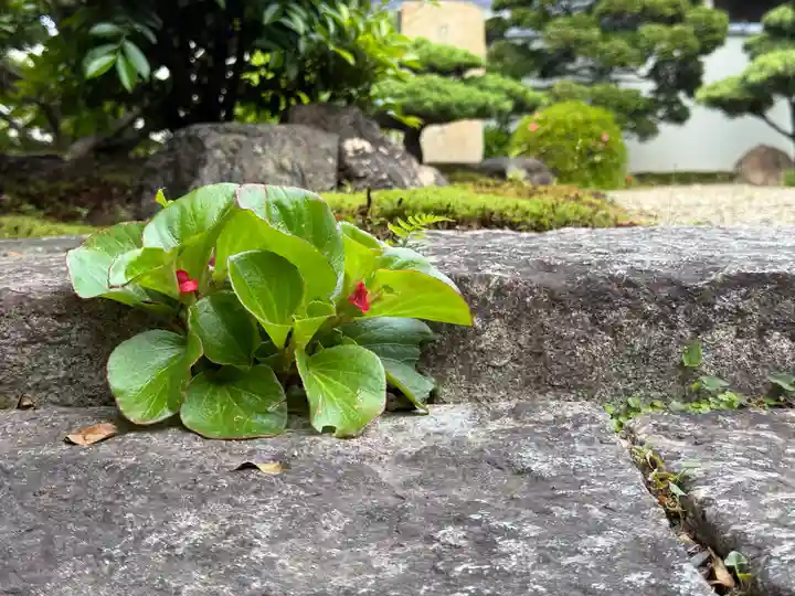 西方山極楽寺(岐阜県)
