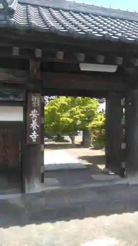 安養寺の山門