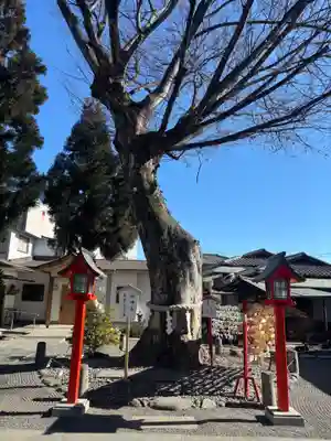 正ノ木稲荷 稲積神社(山梨県)